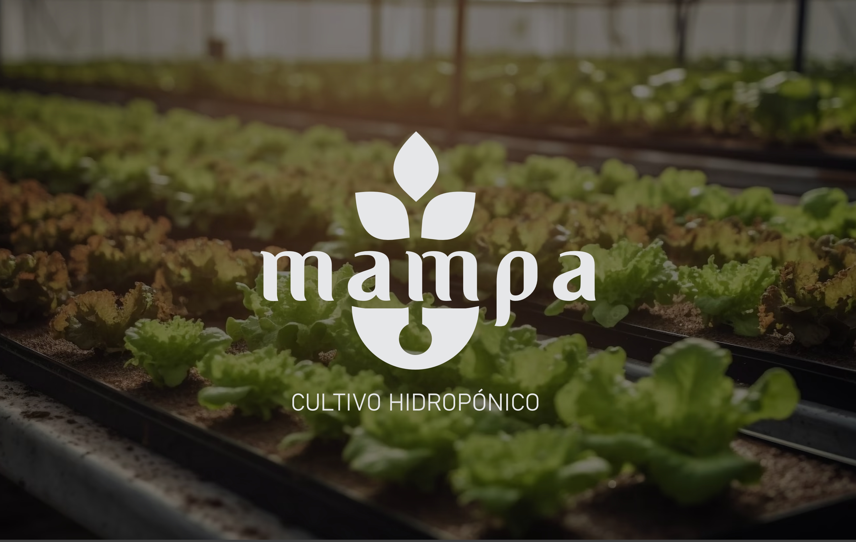 Mampa logo campo